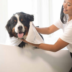 2-in-1 Pet Shampoo & Conditioner -16 FL. OZ.